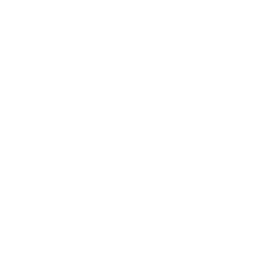 Media Buying Agencies